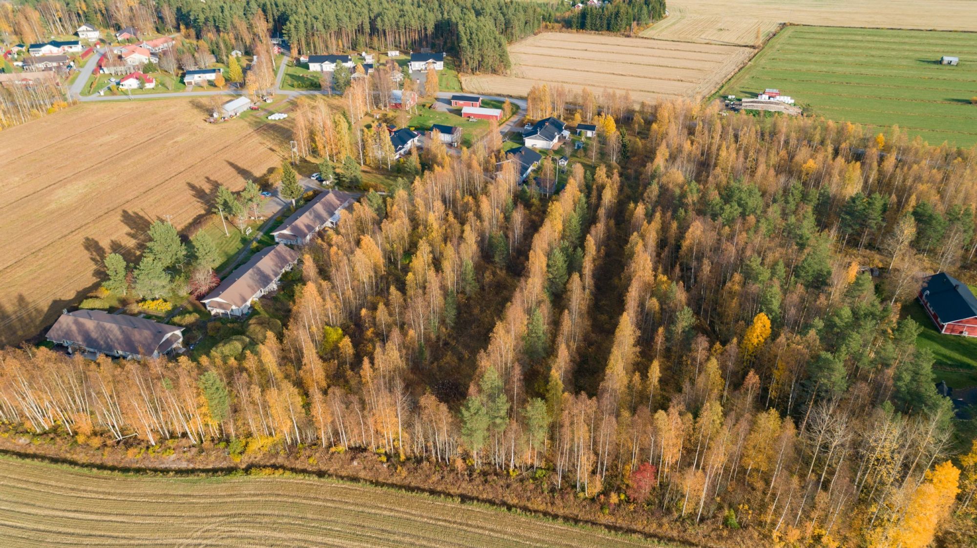 Tontin ilmakuva